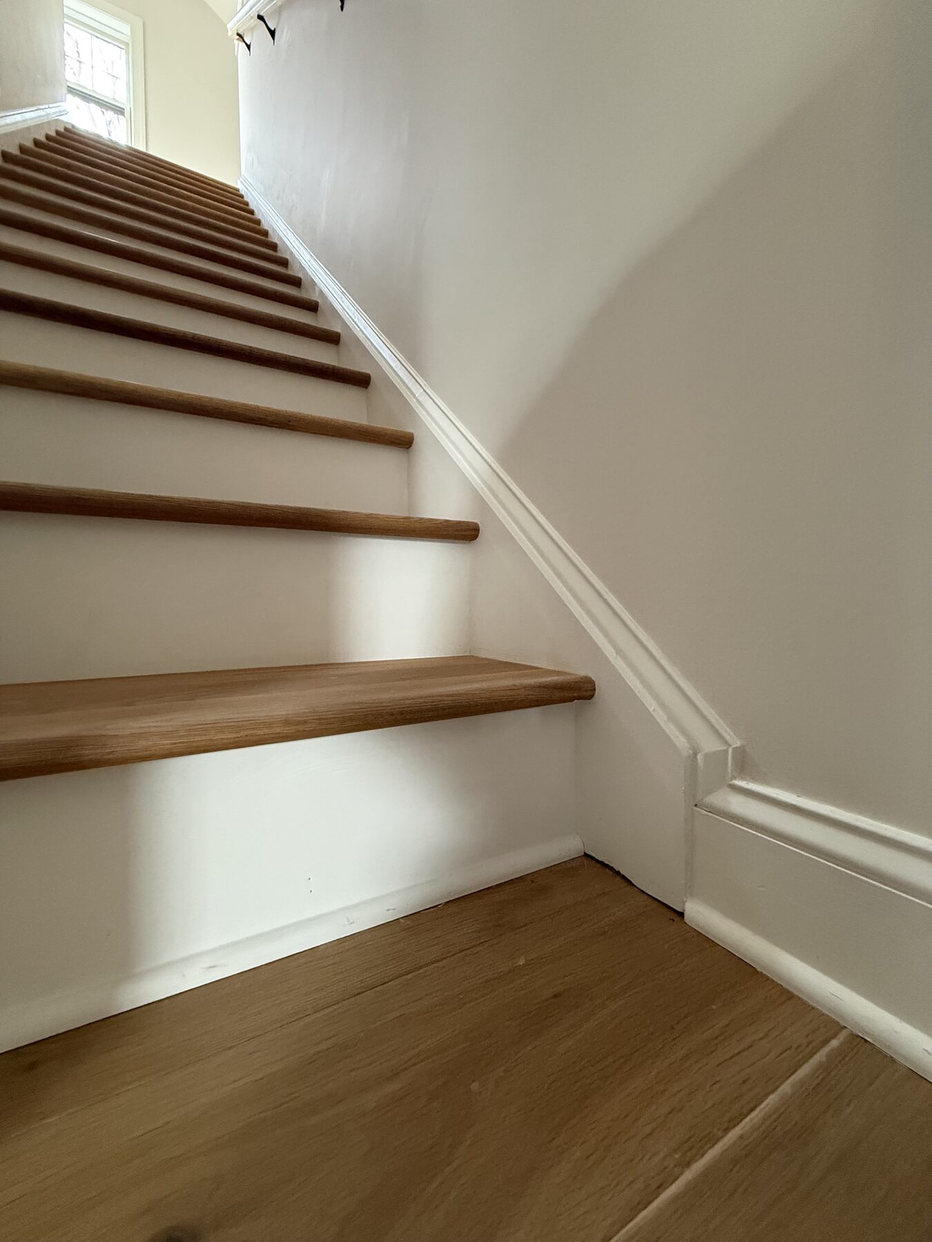 Trim Projects